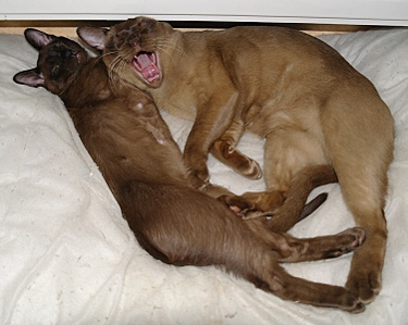 click for enlarge 751 X 600 229,2 Kb picture