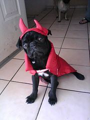 click for enlarge 540 X 720  39,0 Kb picture