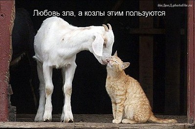 click for enlarge 480 X 316  41,7 Kb picture