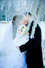 click for enlarge 537 X 807 91,5 Kb picture