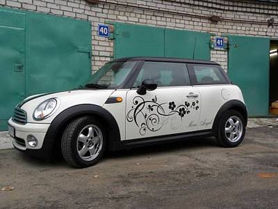 click for enlarge 500 X 375  26,6 Kb picture