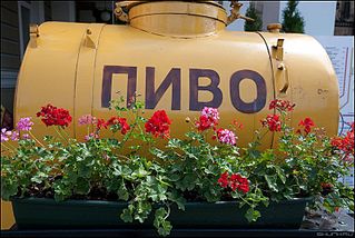 click for enlarge 800 X 535  96,6 Kb picture