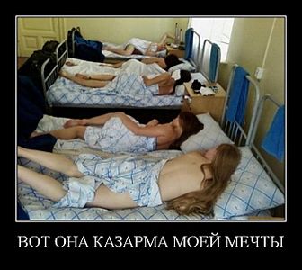 click for enlarge 700 X 624  58,9 Kb picture