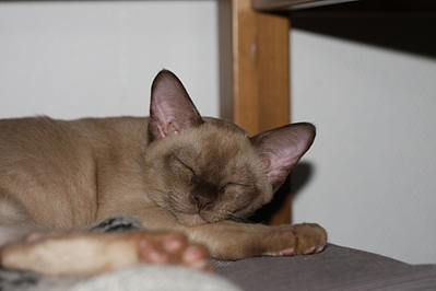 click for enlarge 972 X 648 387,0 Kb picture