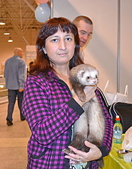 click for enlarge 387 X 500 99,2 Kb picture