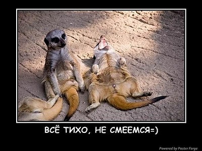 click for enlarge 600 X 450 72,3 Kb picture