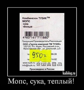 click for enlarge 500 X 535  36,7 Kb picture