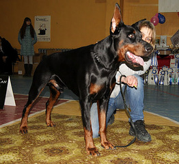 click for enlarge 512 X 469  86,1 Kb picture