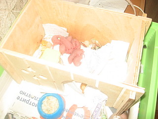 click for enlarge 1600 X 1200 373,2 Kb picture