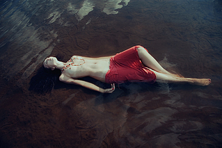 click for enlarge 820 X 547 294,4 Kb picture