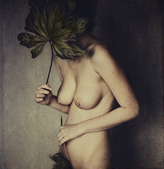 click for enlarge 661 X 682 169,3 Kb picture