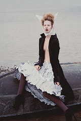 click for enlarge 510 X 765 85,7 Kb picture