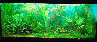 click for enlarge 1920 X 843 640,6 Kb picture