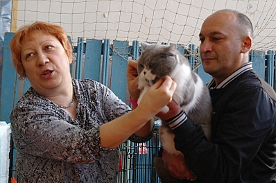 click for enlarge 800 X 529 285,7 Kb picture