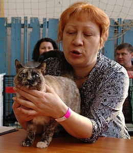 click for enlarge 600 X 691 251,8 Kb picture