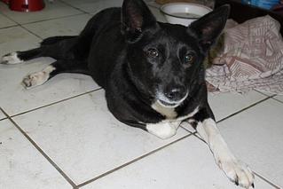 click for enlarge 1024 X 683 81,5 Kb picture