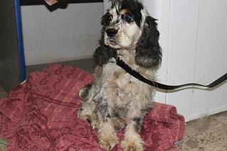 click for enlarge 1024 X 683 85,7 Kb picture