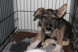 click for enlarge 1200 X 800 74,9 Kb picture