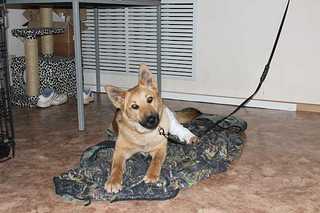 click for enlarge 1200 X 800 88,2 Kb picture