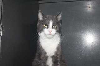 click for enlarge 1200 X 800 44,1 Kb picture