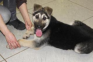 click for enlarge 398 X 266 17,6 Kb picture