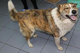 click for enlarge 398 X 266 18,7 Kb picture