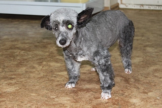 click for enlarge 1024 X 683 303,1 Kb picture