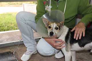 click for enlarge 1200 X 800 59,0 Kb picture