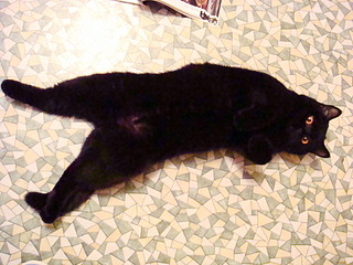 click for enlarge 1920 X 1440 639,6 Kb picture