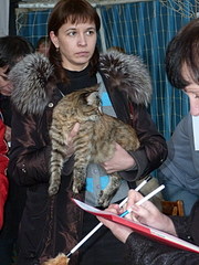 click for enlarge 1152 X 1536 451,3 Kb picture