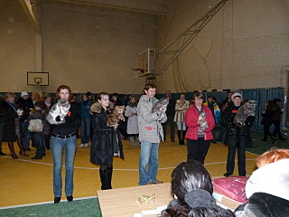 click for enlarge 1280 X 960 316,2 Kb picture