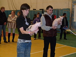 click for enlarge 1280 X 960 294,5 Kb picture
