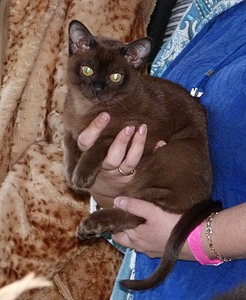 click for enlarge 624 X 760 139,1 Kb picture
