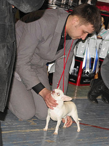 click for enlarge 594 X 800 112,8 Kb picture