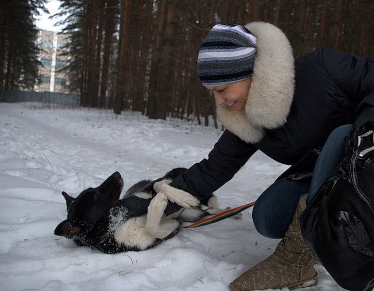 click for enlarge 800 X 622 165,1 Kb picture