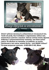 click for enlarge 595 X 842 289,8 Kb picture