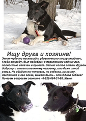 click for enlarge 595 X 842 302,8 Kb picture