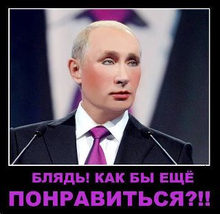320 x 312
