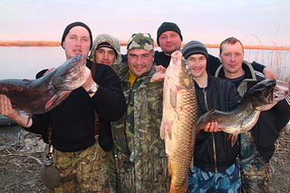 click for enlarge 1920 X 1280 240,9 Kb picture