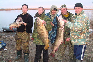 click for enlarge 1920 X 1280 289,0 Kb picture