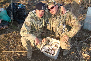 click for enlarge 1920 X 1280 396,8 Kb picture