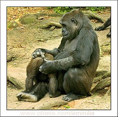 click for enlarge 627 X 623 142,3 Kb picture