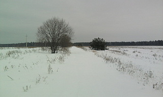 click for enlarge 400 X 240 21,7 Kb picture