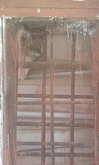 click for enlarge 240 X 400  49,1 Kb picture