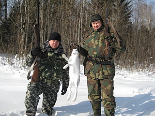 click for enlarge 640 X 480 221,5 Kb picture