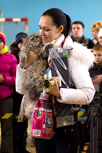 click for enlarge 1920 X 2880 457,5 Kb picture