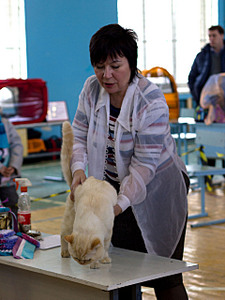 click for enlarge 1920 X 2553 315,7 Kb picture
