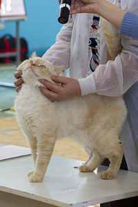 click for enlarge 1501 X 2252 429,7 Kb picture