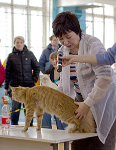 click for enlarge 1920 X 2492 329,7 Kb picture