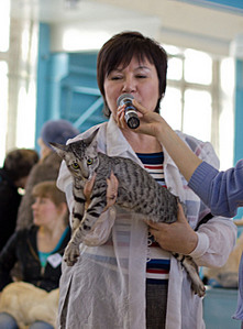 click for enlarge 1920 X 2595 908,8 Kb picture